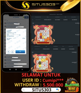 SITUS303 (7)